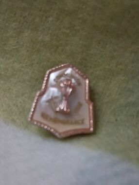 Rememberence Shield Pin Brooch